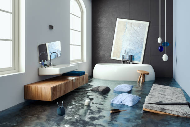 Best Flood damage cleanup  in Black River, NY