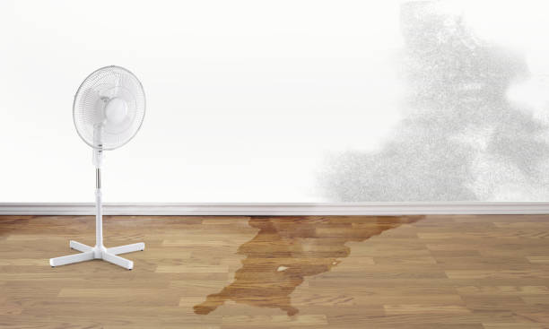 Best Sewage cleanup and water damage restoration  in Black River, NY