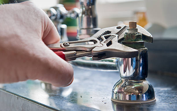 Best Mold removal after water damage  in Black River, NY