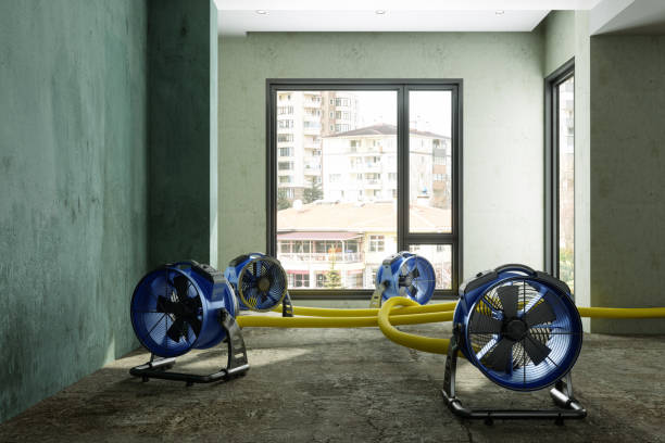 Best Local water damage restoration  in Black River, NY