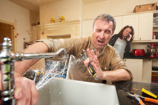 Best Basement water damage restoration  in Black River, NY
